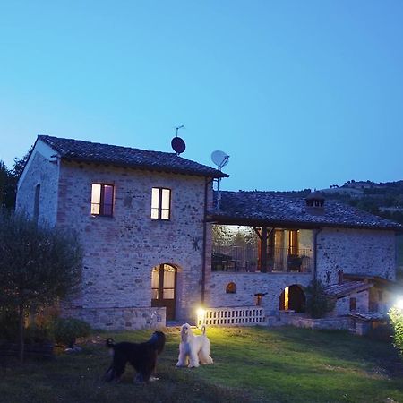 La Pietra Rara B&B Montone  Luaran gambar