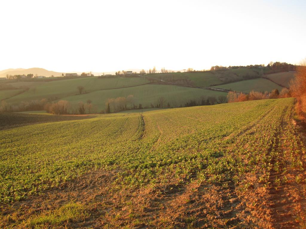 La Pietra Rara B&B Montone  Luaran gambar