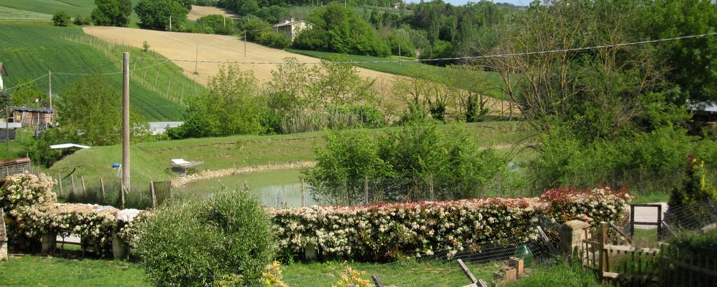 La Pietra Rara B&B Montone  Luaran gambar