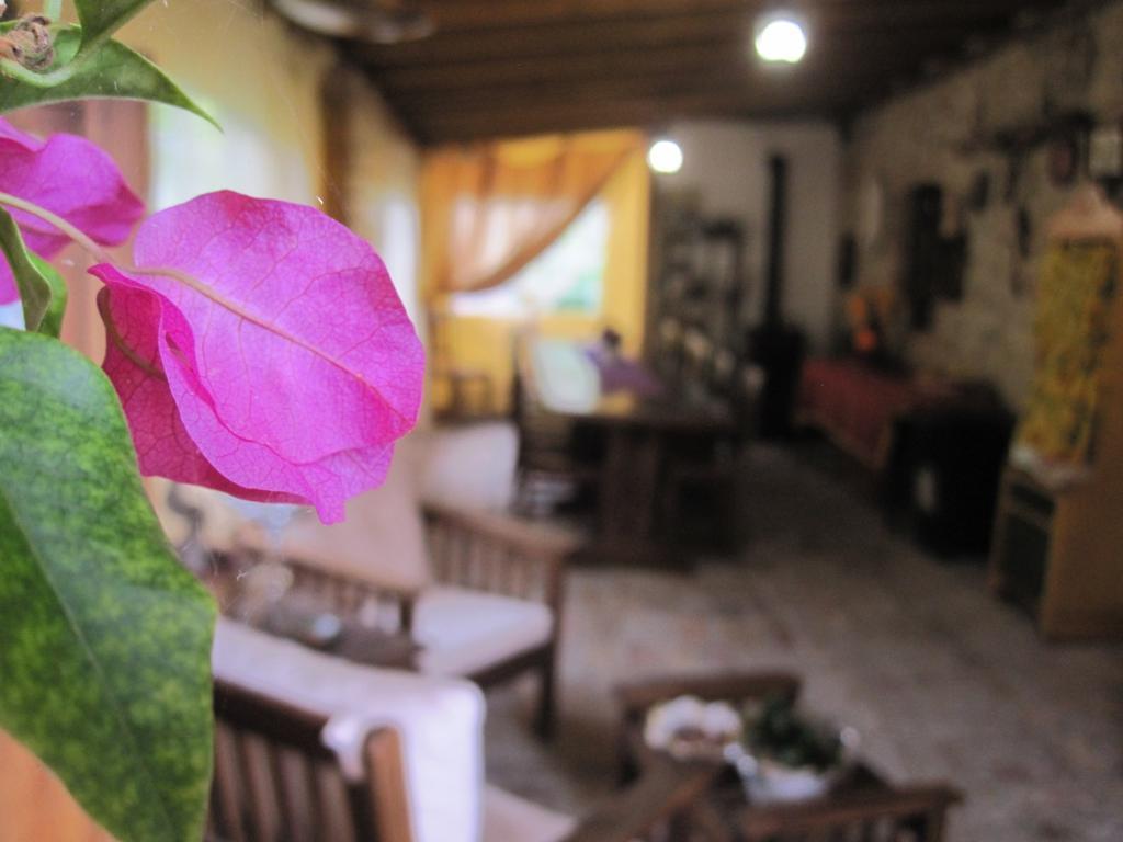 La Pietra Rara B&B Montone  Luaran gambar