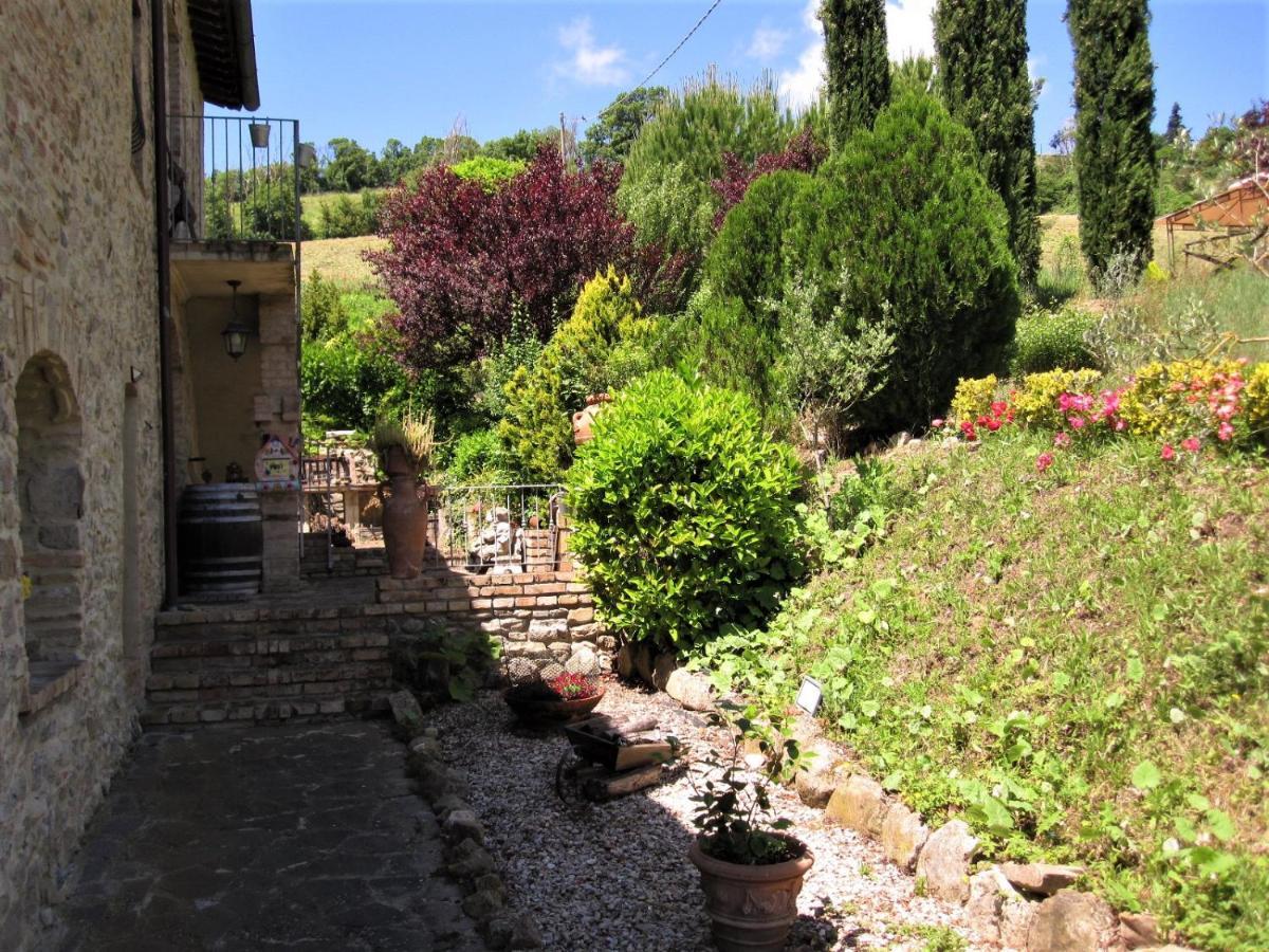 La Pietra Rara B&B Montone  Luaran gambar