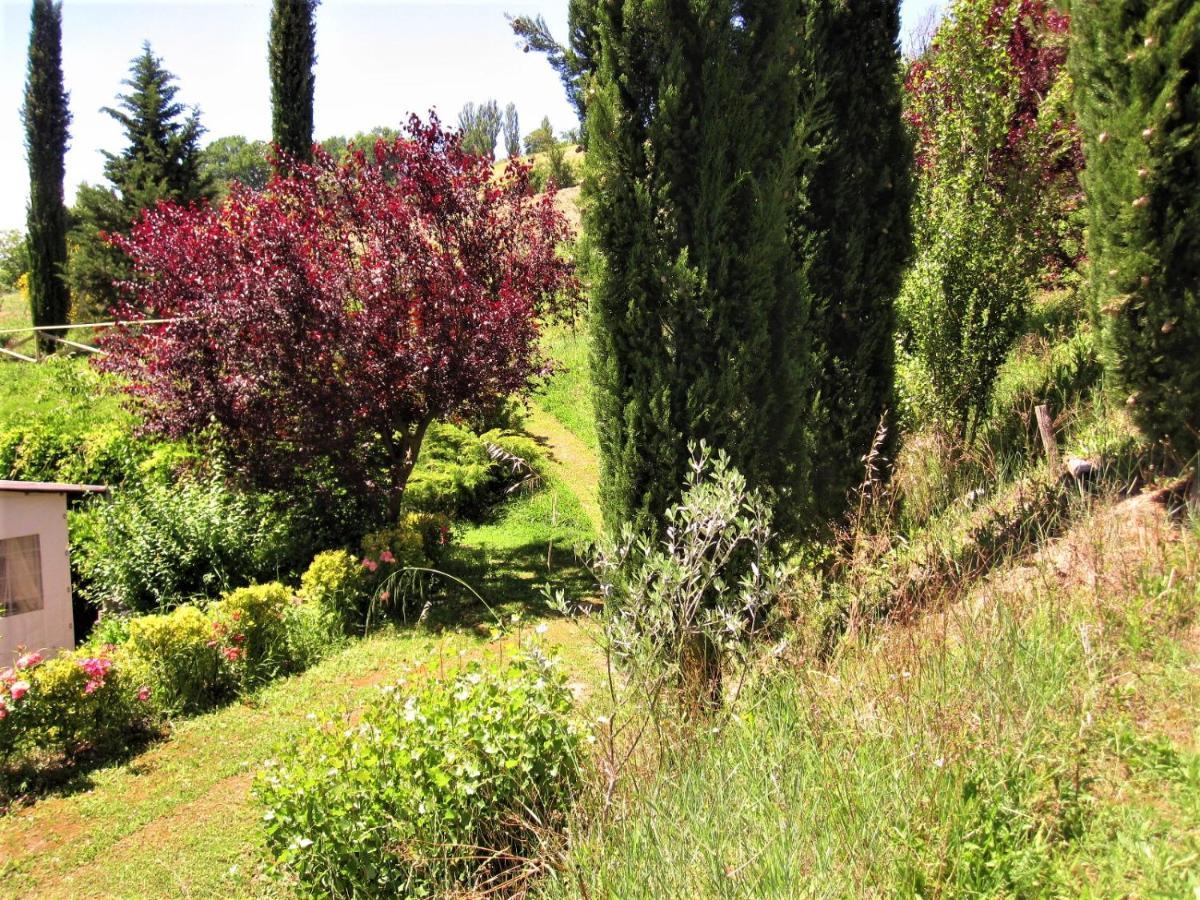 La Pietra Rara B&B Montone  Luaran gambar