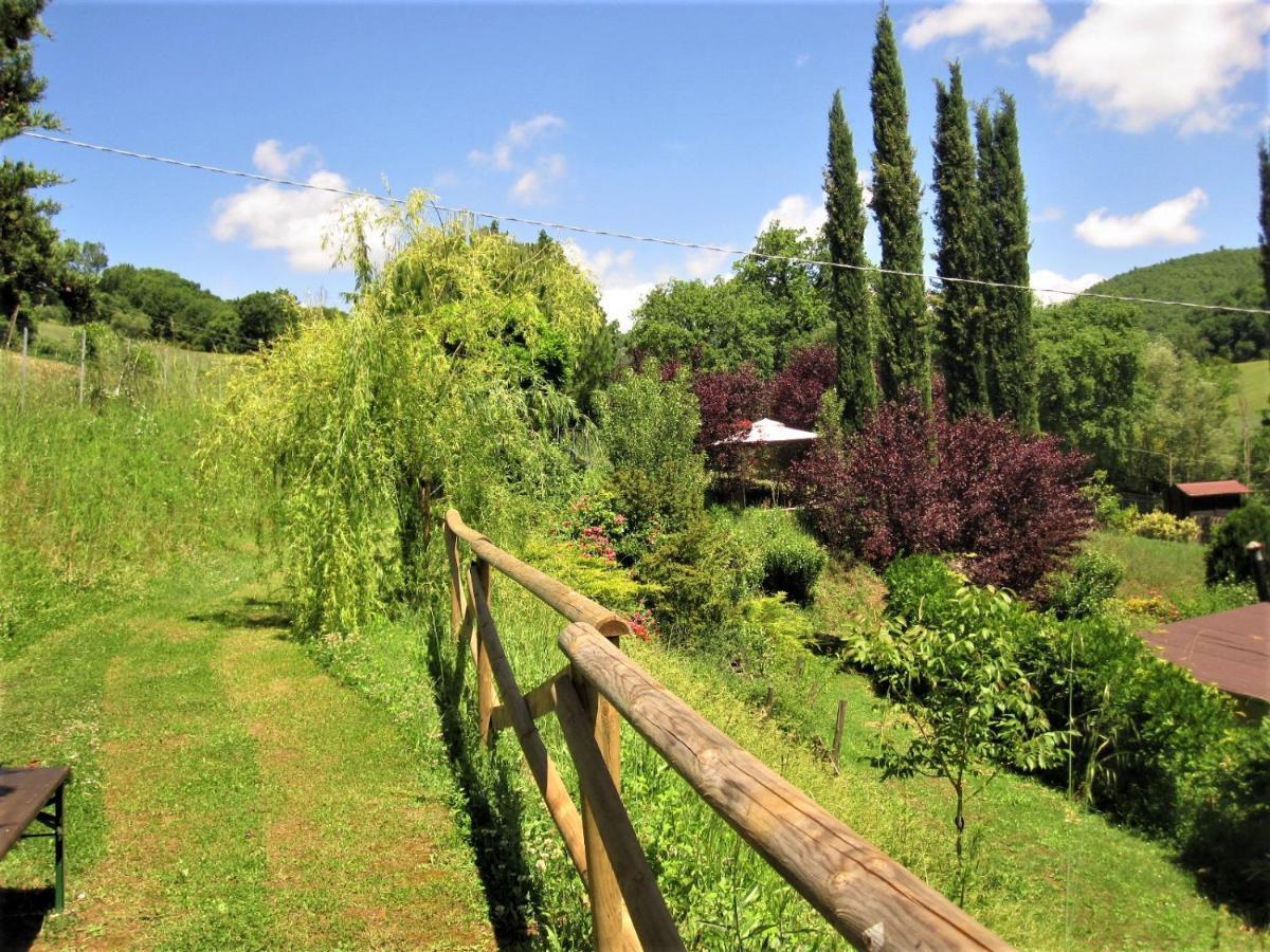 La Pietra Rara B&B Montone  Luaran gambar