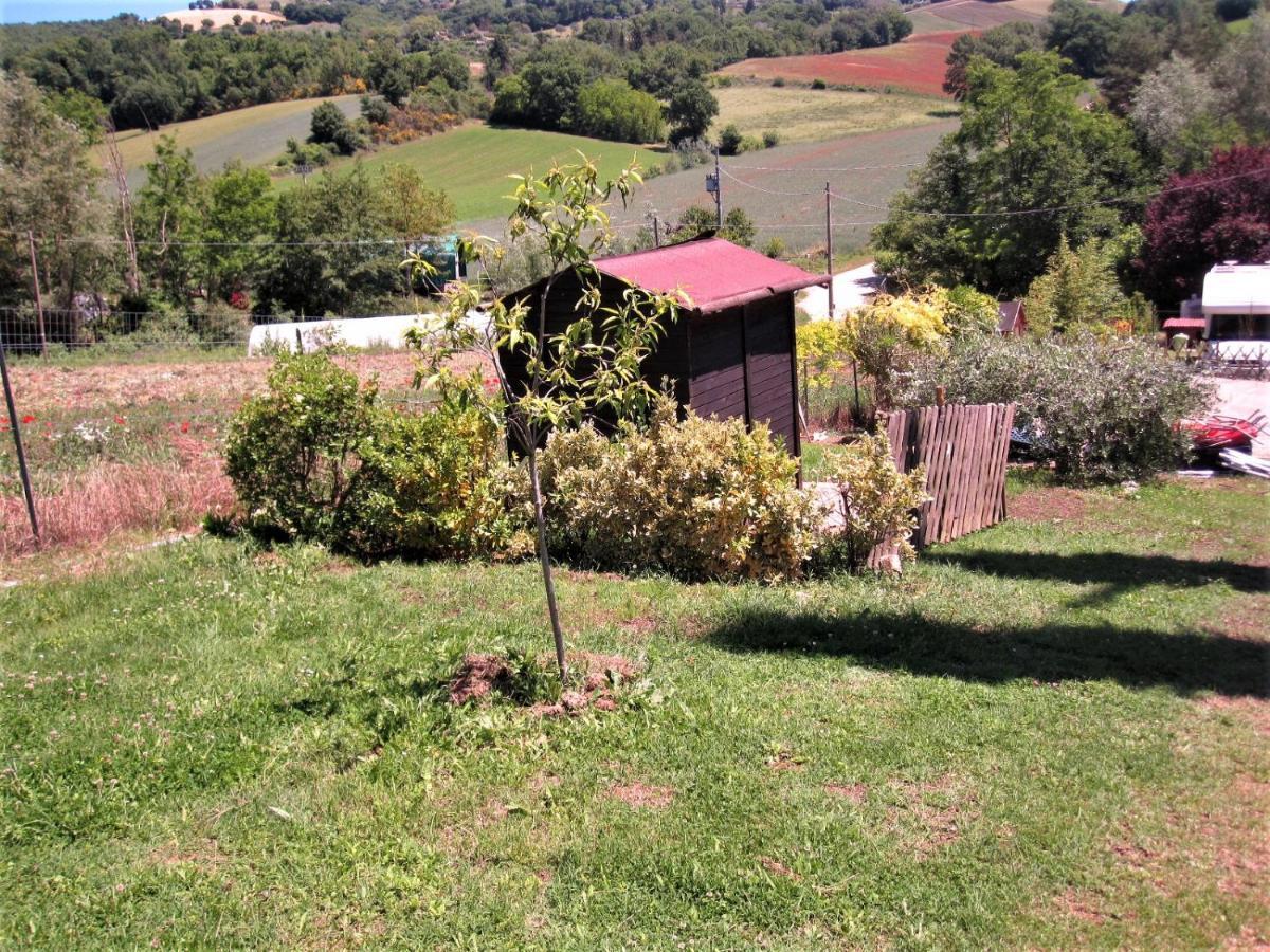 La Pietra Rara B&B Montone  Luaran gambar